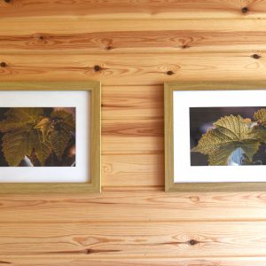 Nottingham's Luxury Vineyard Glamping Pods - Wolds Wine Estate