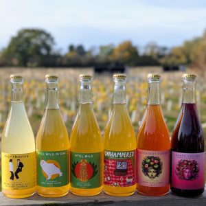 Mixed Case of Ciders