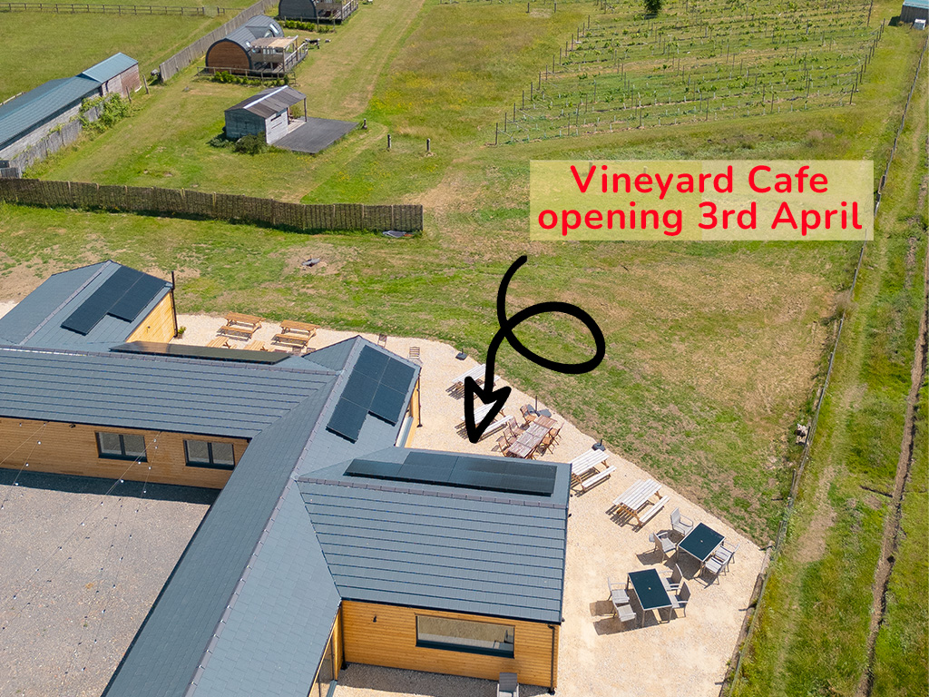 Drone shot of the vineyard café with outdoor seating and vineyard views