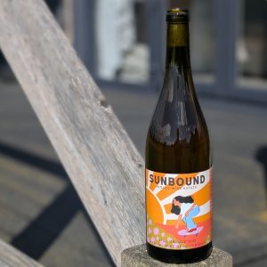 Sunbound: Still Orange